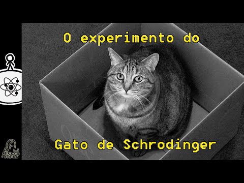 O que é o Gato de Schrödinger?