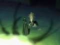 Yami to Bōshi to Hon no Tabibito Ep4 Part2 /3