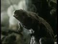 The Pied Piper of Hamelin  part 2 pbs long ago and far away
