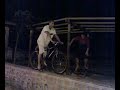gunoi cu bicicleta