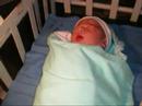 cedd terence devolgado