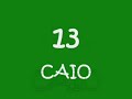 top 15 gols palmeiras brasileirão 2007