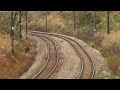 2009年11月20日　EF64-1031(原色)＋E233系x10　上越線配9772レ