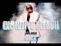 Dj Skyy-Pitbull Remix