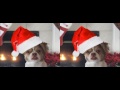 3D Funny Dog and Cat -