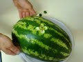 cocomero intagliato