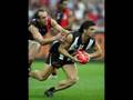 collingwood football club