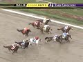 FAIR GROUNDS, 2009-11-21, Race 2