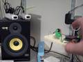 videos de AKA-egg-4d-trial-20081122.AVI