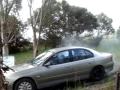 my vt again