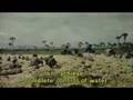 Cambodia: THE FORCED LABOR OF YUON ANGKAR (1of2)[KH&EN]
