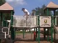 Winja Parkour 2