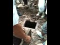 IMG_0237.MOV