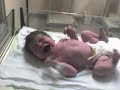 Tomas Ariel (chiquito gigante)