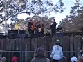 hardly strictly bluegrass, san francisco, 10/7/07.