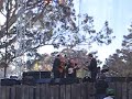 hardly strictly bluegrass, san francisco, 10/7/07.