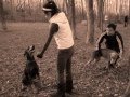 videos de Day at the Dog Park