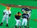 福岡マスコット対決！ドアラvsハーキュリーホーク
