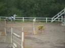 Tierp nationell 15/8 -08 Tierp nationell 15/8 -08