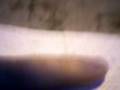 videos de Las pibas del tomate- NIÑA(BELEN Y YESSICA).mp4
