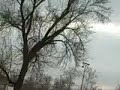 The flood in Goshen, IN on January 9th, 2008