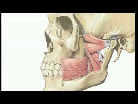 how to take care of tmj pain