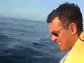 tuna feasting on bait balls tuna feasting on bait balls