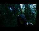 \"La Flor de la Vida\" teaser.