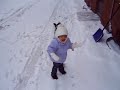 Siba walks on snow Siba walks on snow