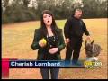 K9 Training