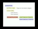 ABDOMEN AGUDO OBSTRUCTIVO 6