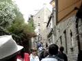 法國聖米歇爾山080627 (France)