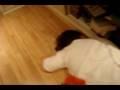 videos de Real SF Pwning