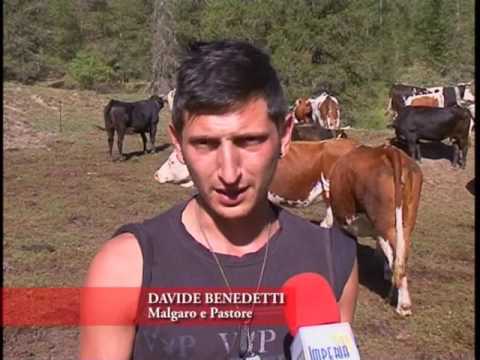 SPECIALE FILIERA DEL LATTE UPEGA