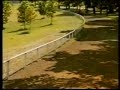 Phar Lap - Himmelblau