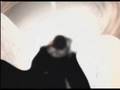 videos de The Show - 