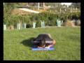 Exercise-Videos-Push
