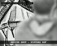 Animatic Omrop Fryslan