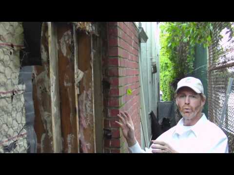 how to kill dry rot fungus