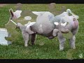 MotivationBoar_FinkFarm.wmv