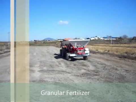 how to fertilize iris