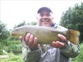 BIG Tench and carp BIG Tench and carp
