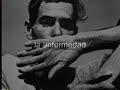 dorothea lange