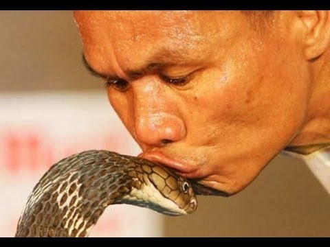 YouTube reptile video