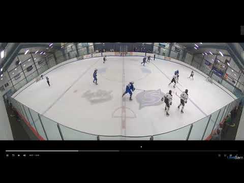 Hockey Highlights U18AAA as of 01 20 2021