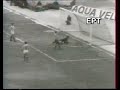 gay-PAOK 0-4 (1975-76) gay-PAOK 0-4 (1975-76)
