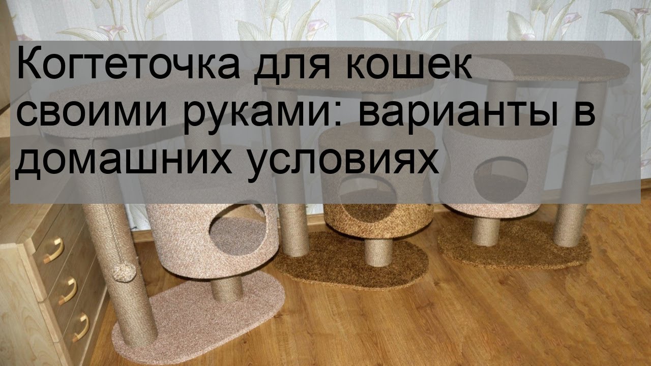 Когтеточка для кошек своими руками: варианты в домашних условиях