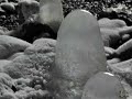 La cueva desconocida.Yo soy de los que han subido muchas veces en el verano a ver la cueva del Cobre (Coble). Pero aquel era un día especial. No era verano. Sin esquíes, crampones, piolet ni raquetas me dirigí hacia la cueva. Lo tenía todo bien calculado. Me quedaban muchas horas por delante para llegar y regresar antes que anocheciera. Seguí el camino de siempre hasta encontrar la primera bifurcación. Aquí elegí la izquierda. un bosque de robles que conocía muy bien, mas ahora iba  casi descubriéndolo al avanzar, ya que estaba todo lleno de nieve. Algo curioso, incomprensible en un primer momento, me hizo detener. Enormes ramas  estaban recostadas sobre la nieve, tapizando unas veces y obstaculizando otras, el camino. Las ramas se veían aún con el abrigo de sus hojas otoñales. Eran muchas. Parecía como si hubiera habido una batalla campal. Nunca había visto nada gual. Como tenía mucho tiempo por delante,  mi avance era lento, y mientras caminaba me di cuenta de que  tanta rama caída era  porque no había podido soportar ni el peso de la nieve ni el bamboleo del viento.Llego al final del bosque. Un grupo de yeguas han logrado que, con su calor, se haya derretido la nieve donde han dormido en la noche. Pero están atrapadas y no se pueden mover. El único sitio sin nieve es la isla donde se encuentran de pie e inertes. Desde este punto  me quedan escasos 500 metros para llegar a la cueva. Era, lo sé,  una zona llena de escobas, algunas hasta de tres metros de altura. Pero ahora no se veía ninguna, pues todas estaban ocultas bajo la nieve. Conocía perfectamente el sendero en el verano, es verdad, pero ahora no había rastro ni señal del mismo.Iba caminando cuando de repente me hundí hasta la cintura al pisar encima de una escoba que había dejado debajo huecos vacíos de nieve como trampas para el caminante.  Con dificultad y la ayuda de mis  manos fui levantando la pierna hundida y apoyándome en la otra que al ejercer peso sobre el piso hizo que me hundiera de nuevo. Esto no fue obstáculo para  dar marcha atrás ni  desistir en mi propósito. Mi progreso  era lento pero continuo. Sudaba a pesar de no hacer sol y de estar  casi  constantemente sepultado por la nieve. Levanto la cabeza y veo un rebaño de venados. Intento filmarlos, pero la nieve me deslumbra tanto que al mirar por el visor de la cámara no veo nada. Calculando el lugar donde se encuentran los filmo al tuntún, y más tarde, ya en casa,  logro deleitarme viendo lo hermosos que salieron.Al cabo de dos horas había avanzado 300 metros. Sentía la cercanía de la entrada de la cueva. Estaba a punto de superar la zona de las escobas y adentrarme en el último tramo esta vez boscoso. Ya en él,  me doy cuenta que me hundo menos pero me resbalo mas. Una vaca completamente blanca está dando sus últimos suspiros. Casi no tiene fuerza ni para abrir los ojos. Siento que me pide ayuda pero no puedo hacer nada en ese momento por ella. Morirá en el transcurso de la noche. No podrá soportar las inclemencias de dos noches seguidas. Sigo caminando, llego a otro tramo de escobas, el último. Comienza de nuevo la tragedia. Hundirme, levantar una pierna para hundirme con la otra. He tardado 3 horas en recorrer lo que se hace en 15 minutos. Sale el sol llenándolo  todo de luz y color. Por fin veo la entrada de la cueva que está cubierta de nieve. Nadie se ha acercado al lugar porque no hay ni una sola huella. No puedo percibir los primeros pasos de un río incipiente. Todo está cubierto de nieve. Lentamente subo la última cuesta y miro hacia el interior. Lo que aparece ante mi vista me hace olvidar todos los sacrificios  y esfuerzo realizados. Esa no es la cueva que yo conocía. Es una catedral de hielo.Entro. Inmensos carámbanos cuelgan del techo y tengo que caminar sin perderlos de vista. Con uno solo que me caía encima no lograría salir de allí. Tampoco puedo caminar sin mirar al suelo. Es una  capa de hielo adornada con innumerables formas caprichosas, diversas en su contextura, transparencia, color y tamaño. Disfruto cada milímetro del lugar. Mi imaginación no puede abarcar tanto. Me es imposible absorber tanta belleza en tan poco tiempo. Está todo helado menos el lugar por donde caminan las aguas del naciente río Pisuerga. La nieve ha logrado penetrar bastante adentro, y aquí si puedo ver el rastro de algún animal pequeño. Me muevo con dificultad por toda la cueva. Recorro la parte iluminada,  en todas sus direcciones. A cada paso la cueva se llena de colores y matices diferentes. Soledad adentro y soledad afuera. Rumor de agua en el interior y silencio total en el exterior.Me he llenado de fuerzas ante tanta maravilla. Es hora de retirarme. Me espera un arduo camino de regreso pero me llevo una experiencia enriquecedora. Sé que llegaré a casa de noche, pero hasta la noche está llena de magia en esta parte de la tierra. No voy solo, me acompaña el  recuerdo de un mundo inexplorado, tan virgen, genuino y natural como la vida misma.