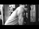 Barbell Curls