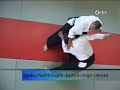 aikido zen  gerhard walter shihan 7  dan / zen   lehrer